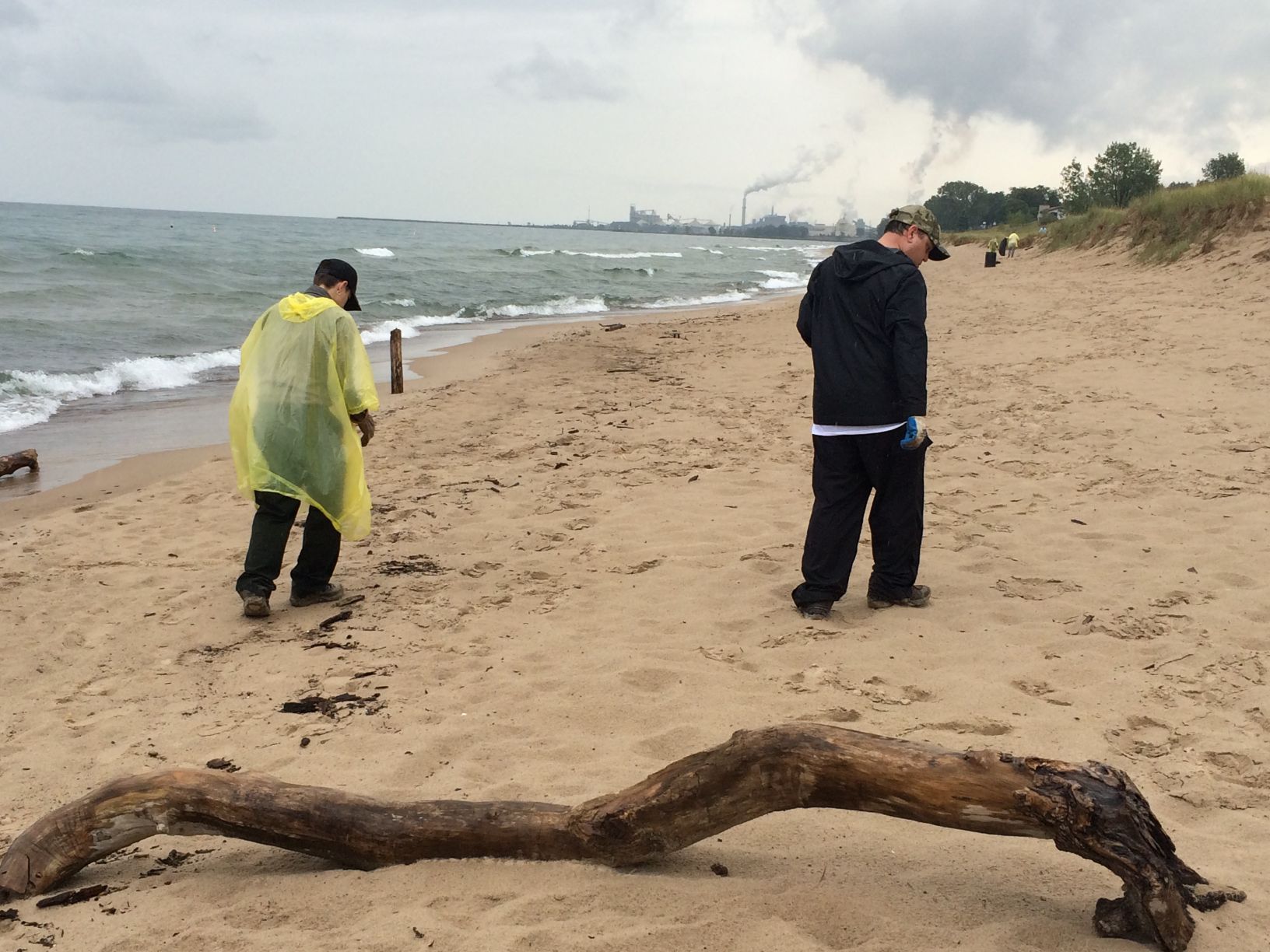 MillerCoors volunteers clean up dunes with beer in mind